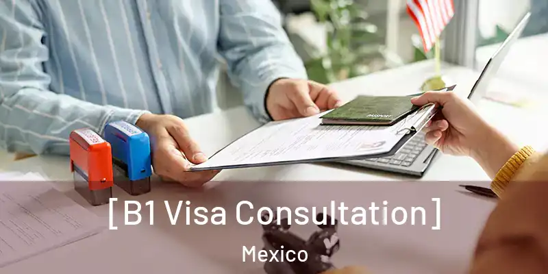  [B1 Visa Consultation] Mexico